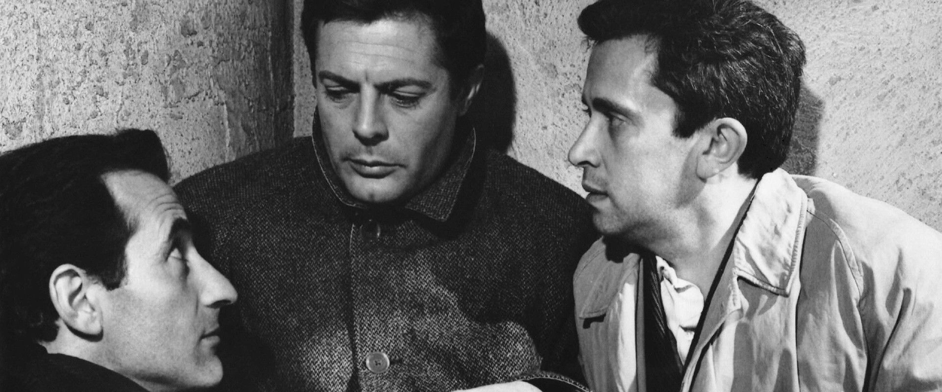 The Assassin backdrop