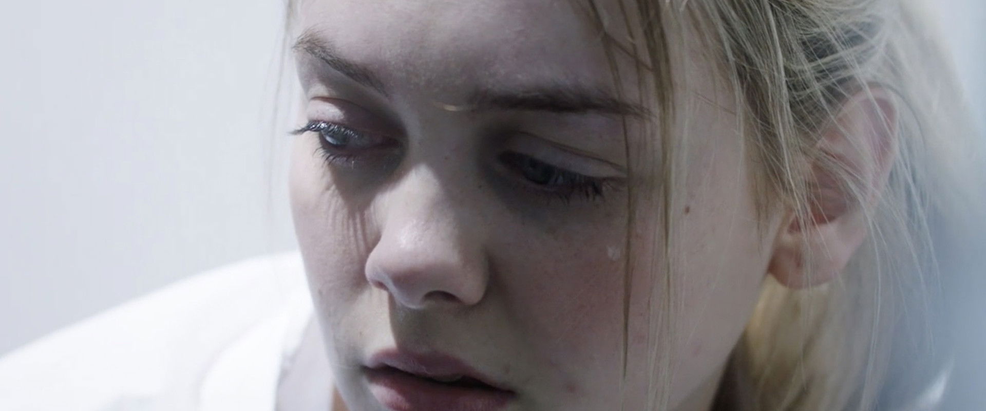 Wild Butterfly backdrop