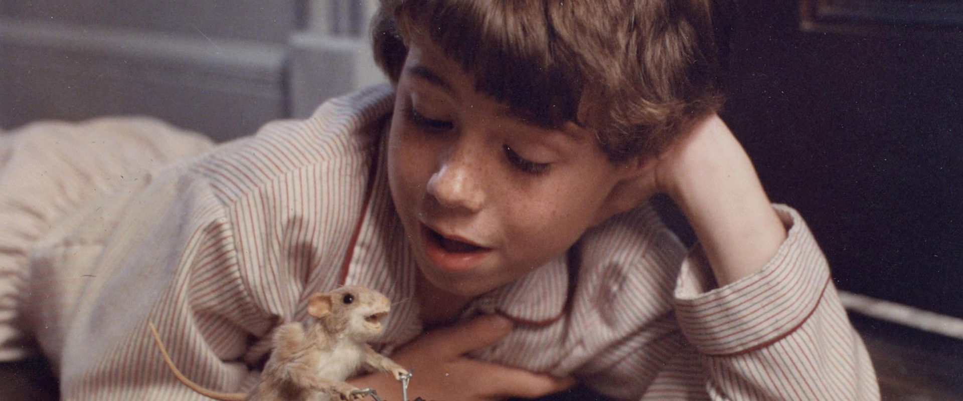 The Mouse and the Motorcycle backdrop