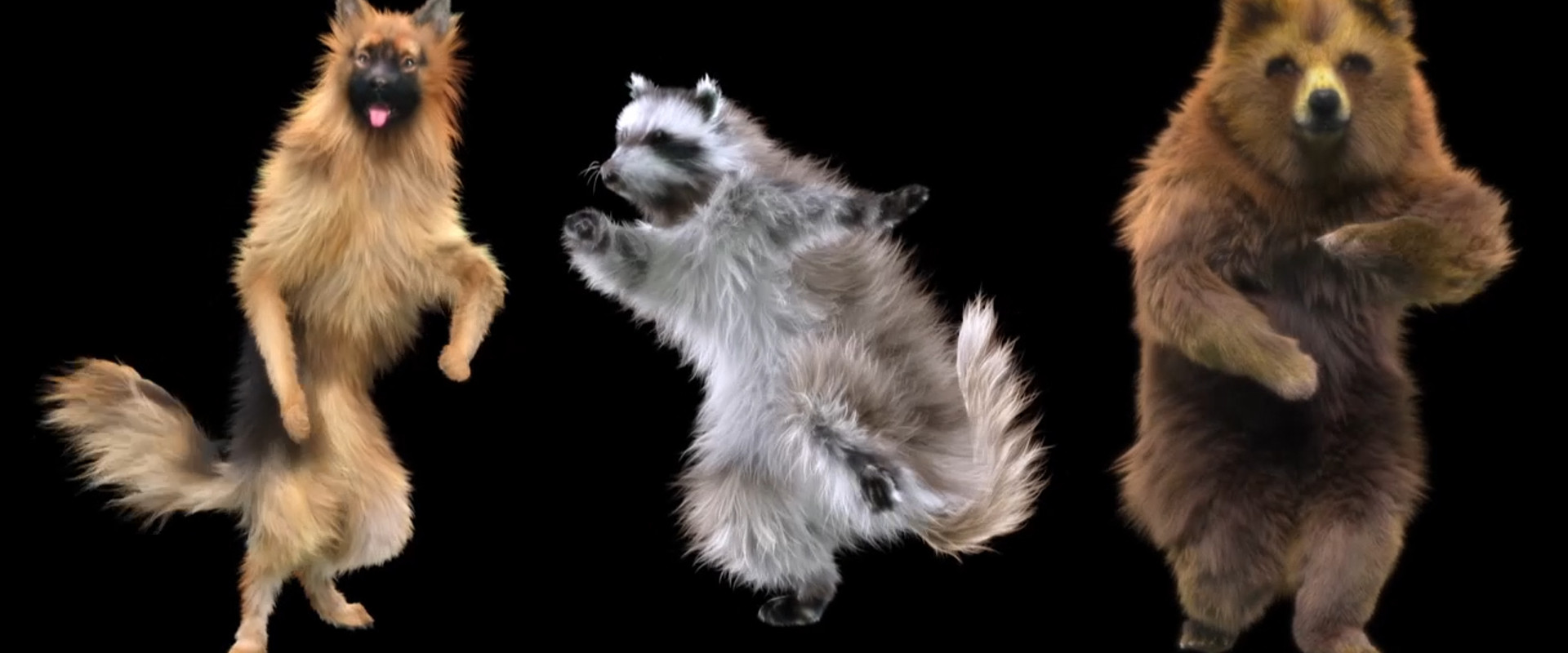 Animals: Drugs, Sex and Fun! backdrop