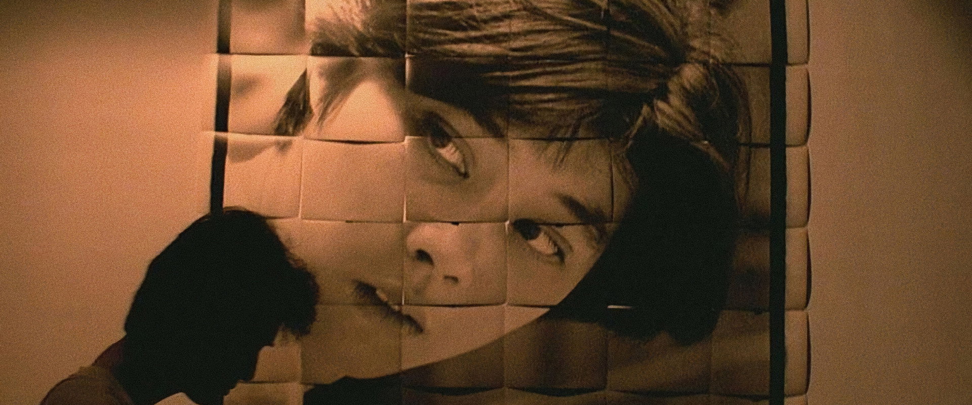 Terrorizers backdrop