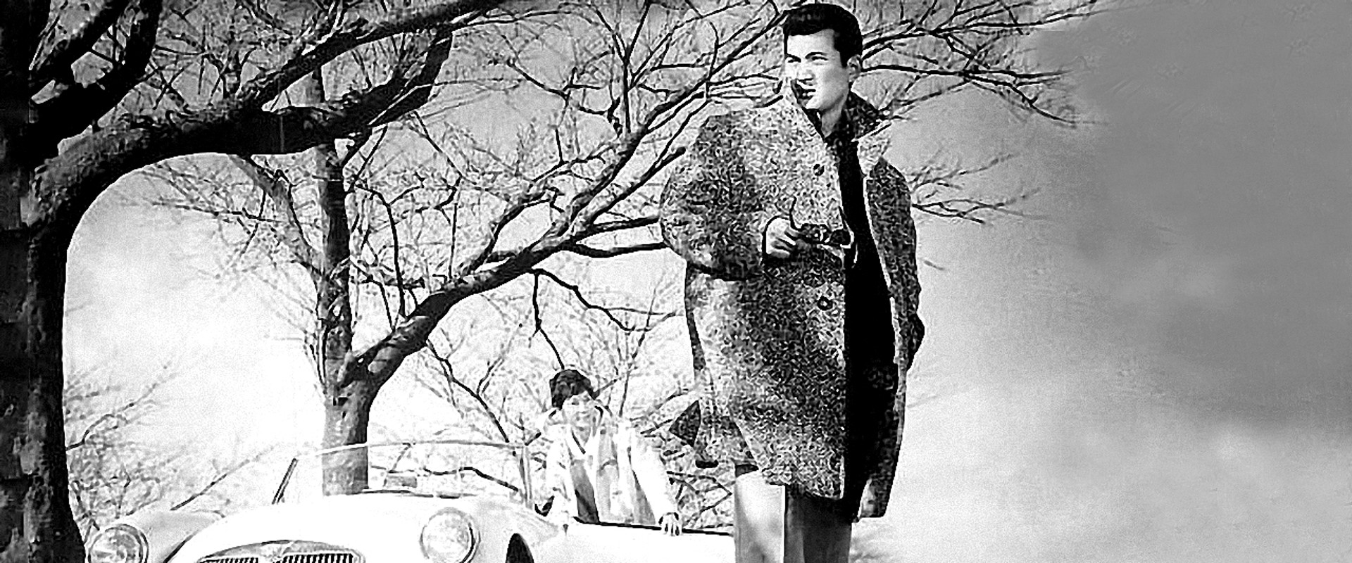 Badge of the Night backdrop