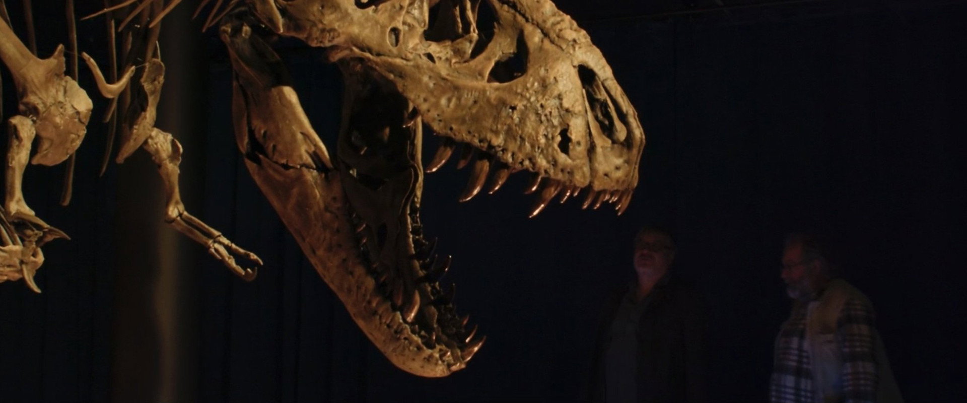 The Bones backdrop