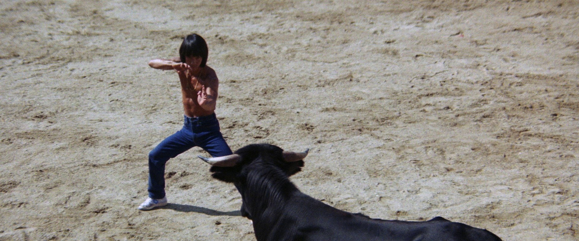 Challenge of the Tiger backdrop