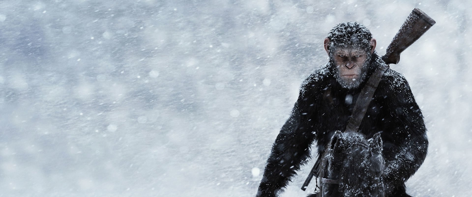 War for the Planet of the Apes backdrop