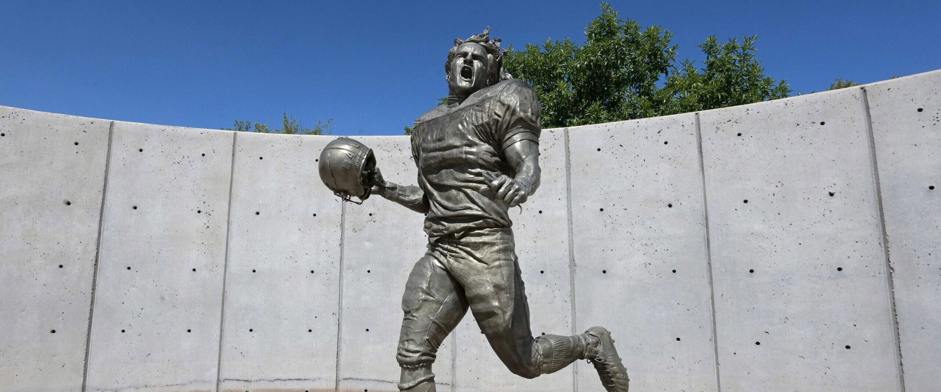 Pat Tillman: Life. Death. Legacy. backdrop