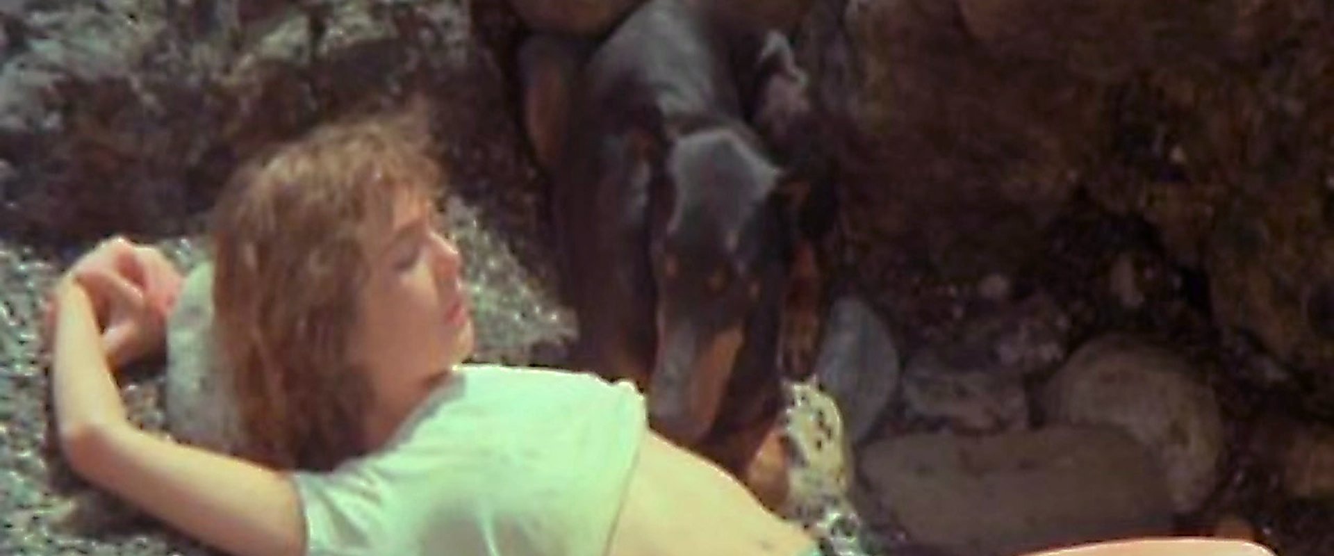 Dog Lay Afternoon