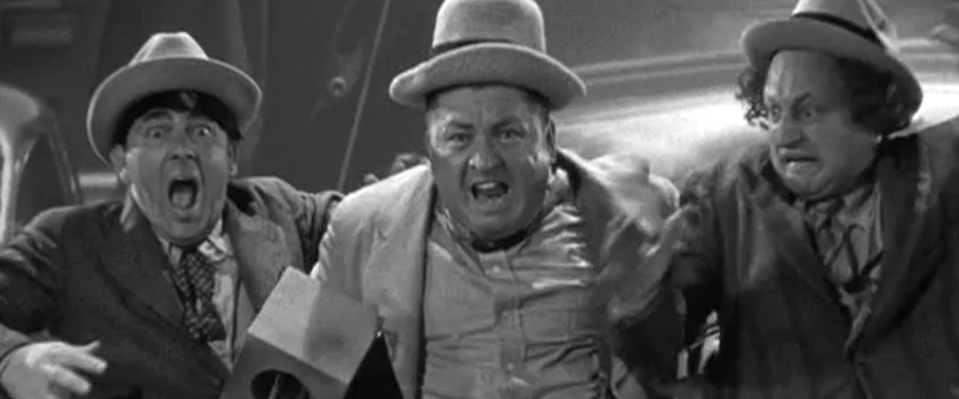 Cactus Makes Perfect backdrop