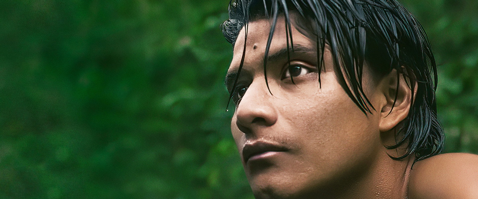 The Territory backdrop