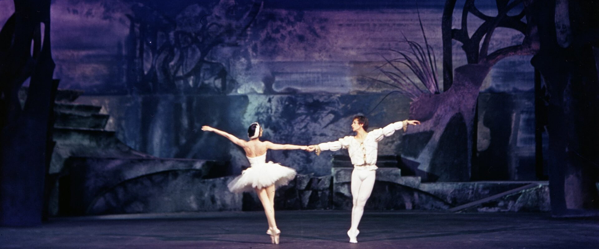 Swan Lake backdrop