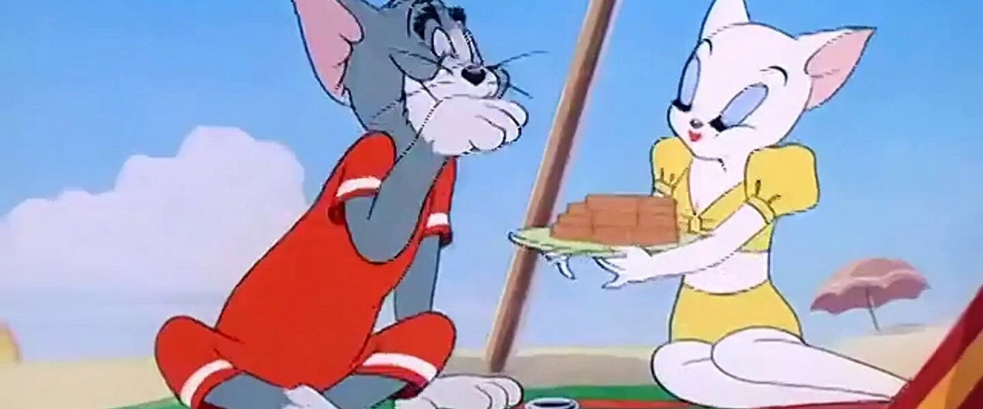 Salt Water Tabby backdrop