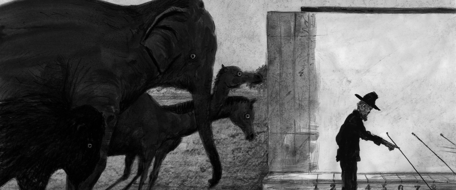 Muybridge's Strings backdrop