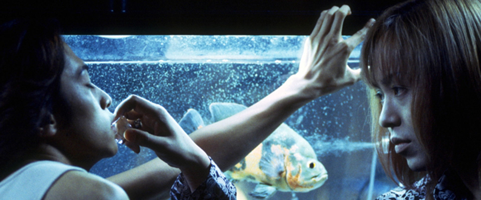 Drowning Fish backdrop