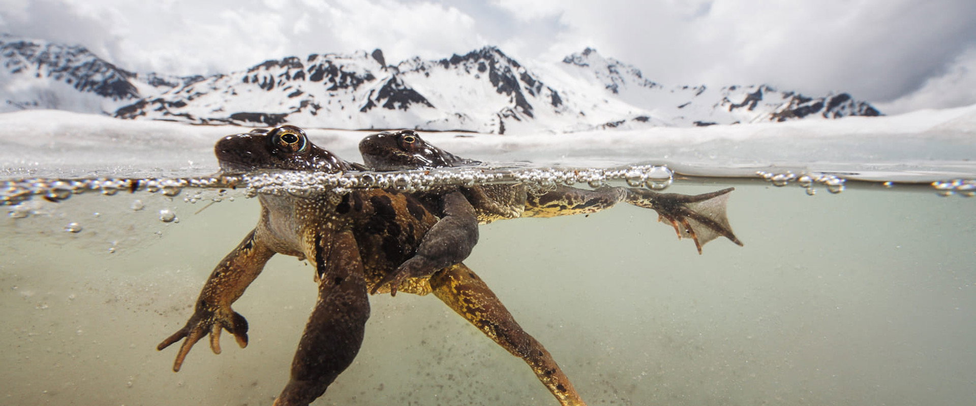 The Sanctuary: Survival Stories of the Alps backdrop