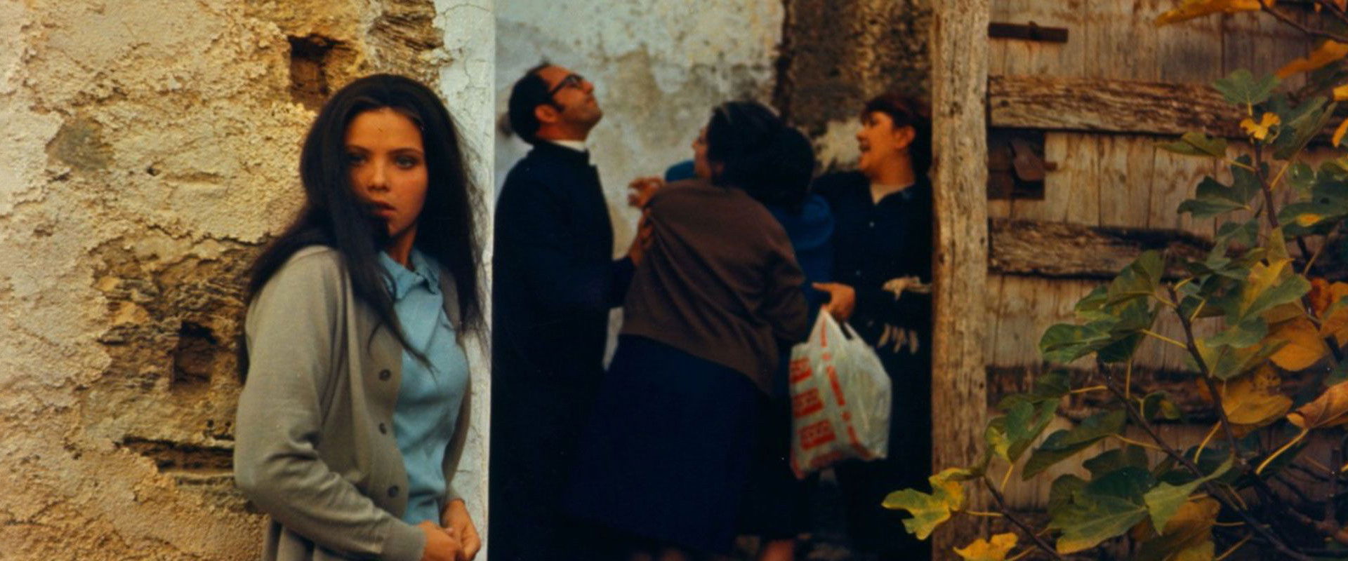 The Most Beautiful Wife backdrop