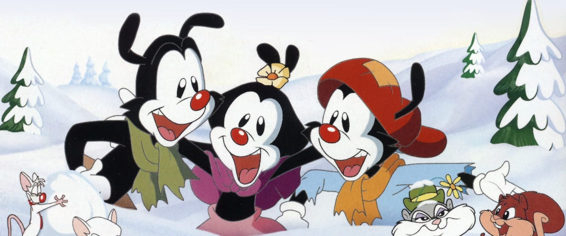 Animaniacs: Wakko's Wish