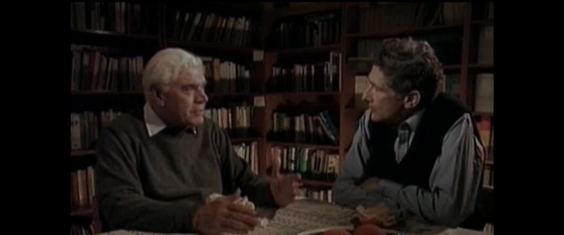 In Search of Palestine: Edward Said's Return Home backdrop