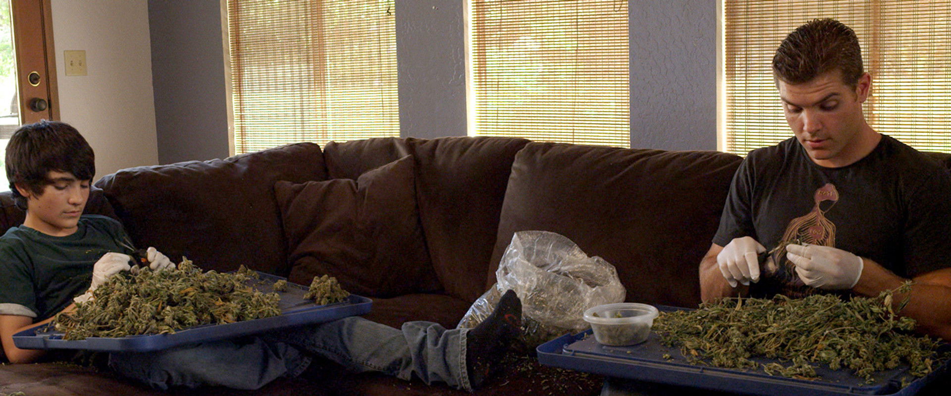 Green Is Gold backdrop