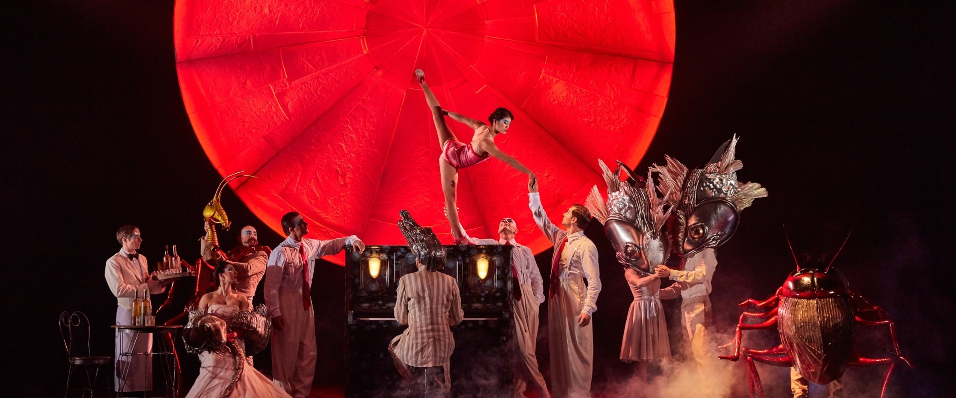 Cirque du Soleil: Luzia backdrop
