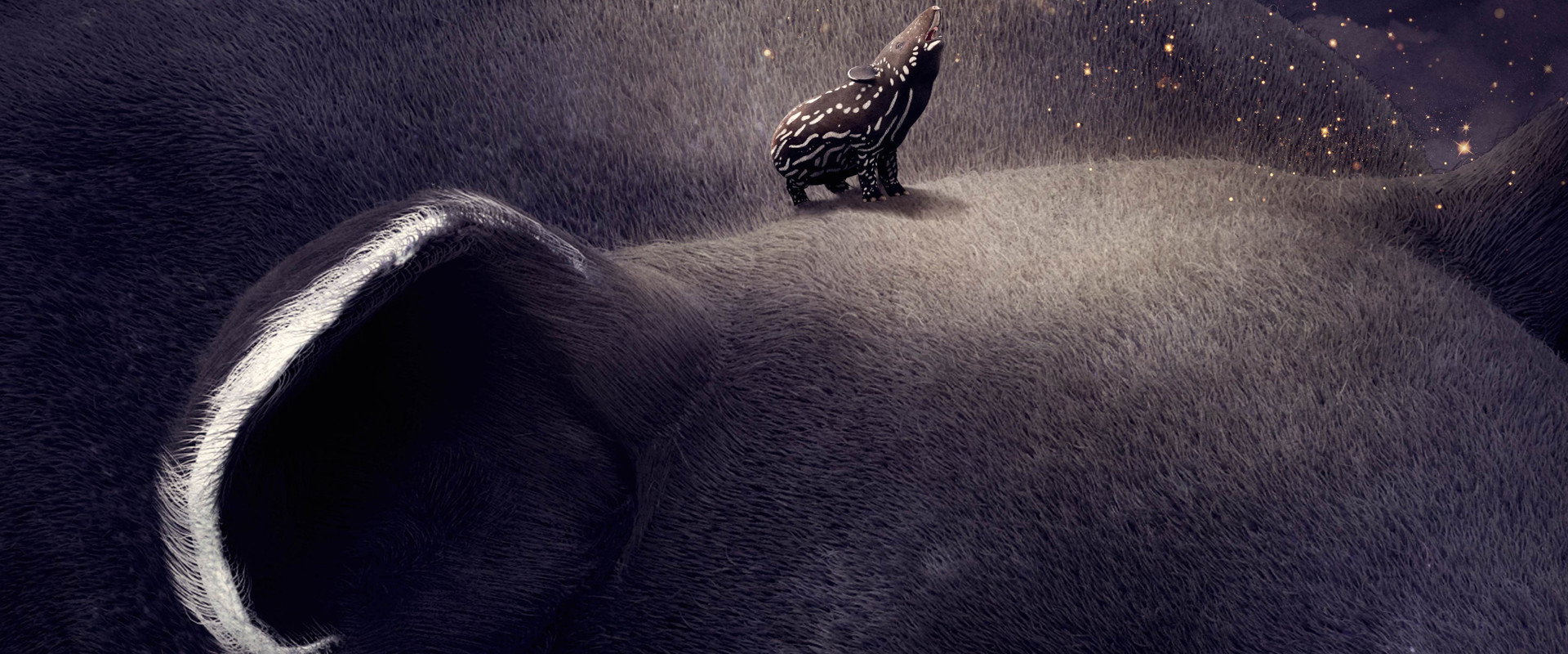 Hello! Tapir backdrop