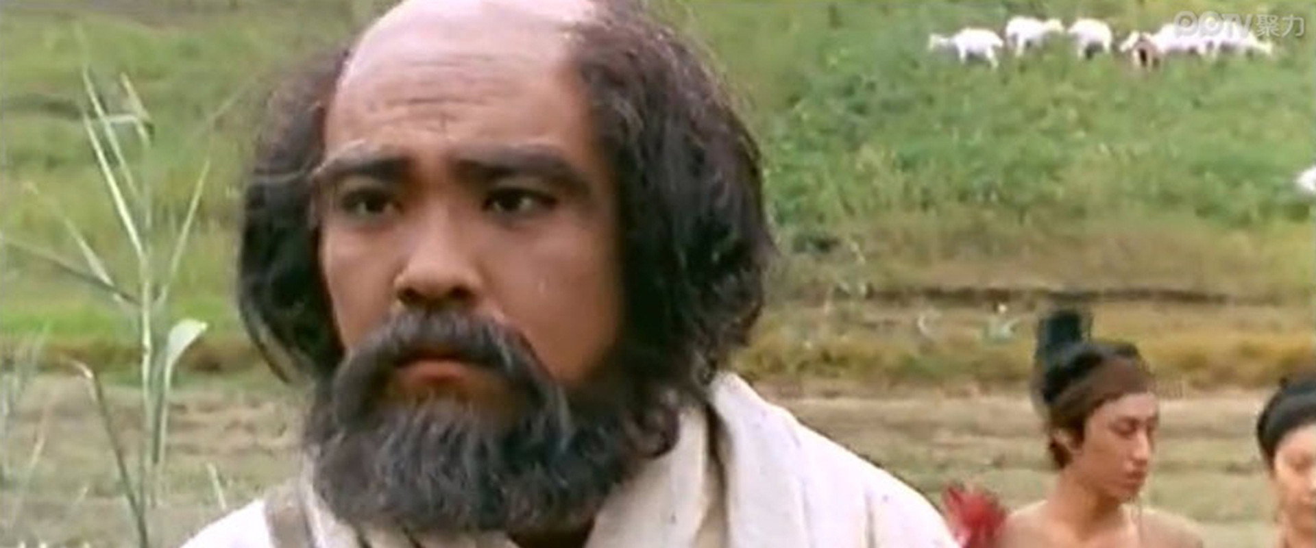 Master of Zen backdrop