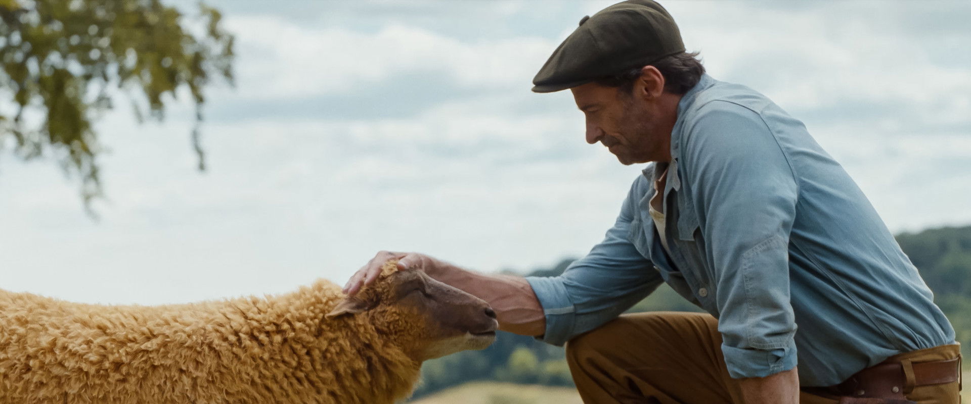 The Sheep Detectives backdrop