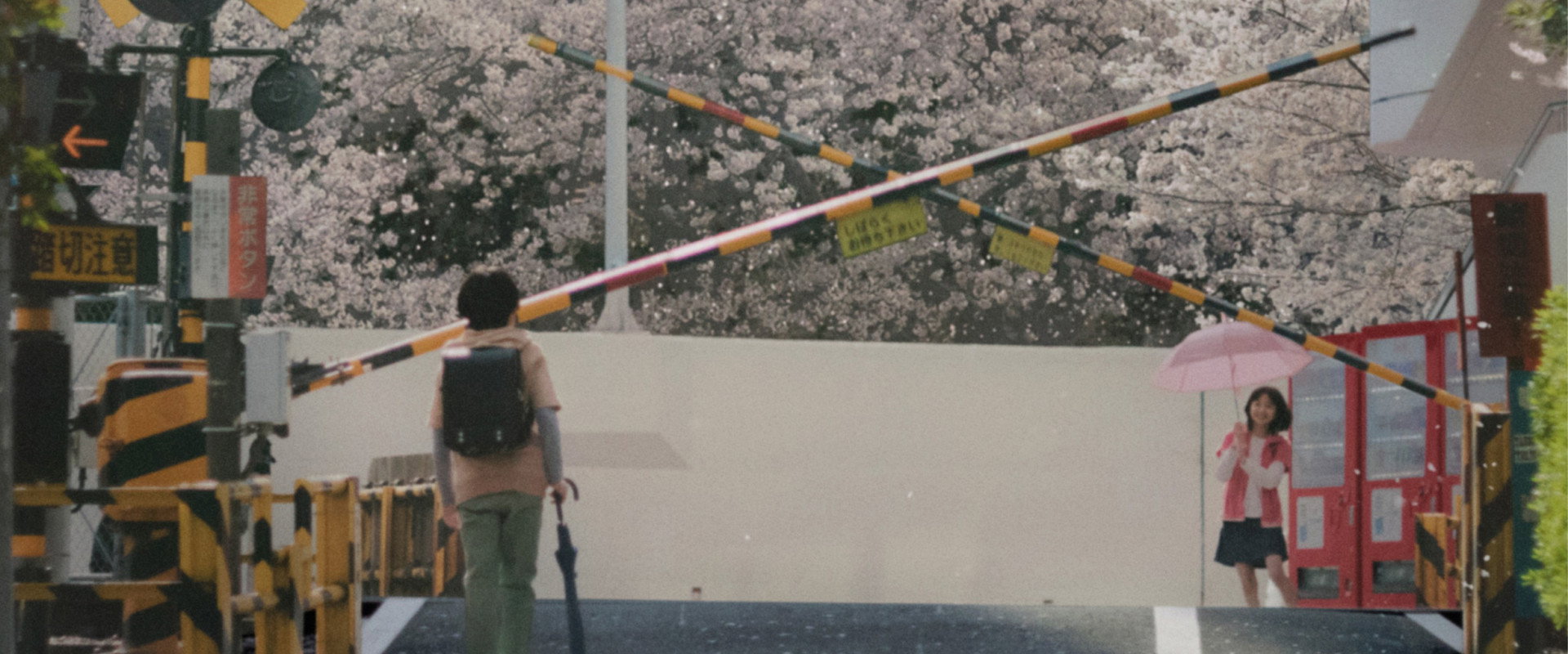5 Centimeters per Second backdrop