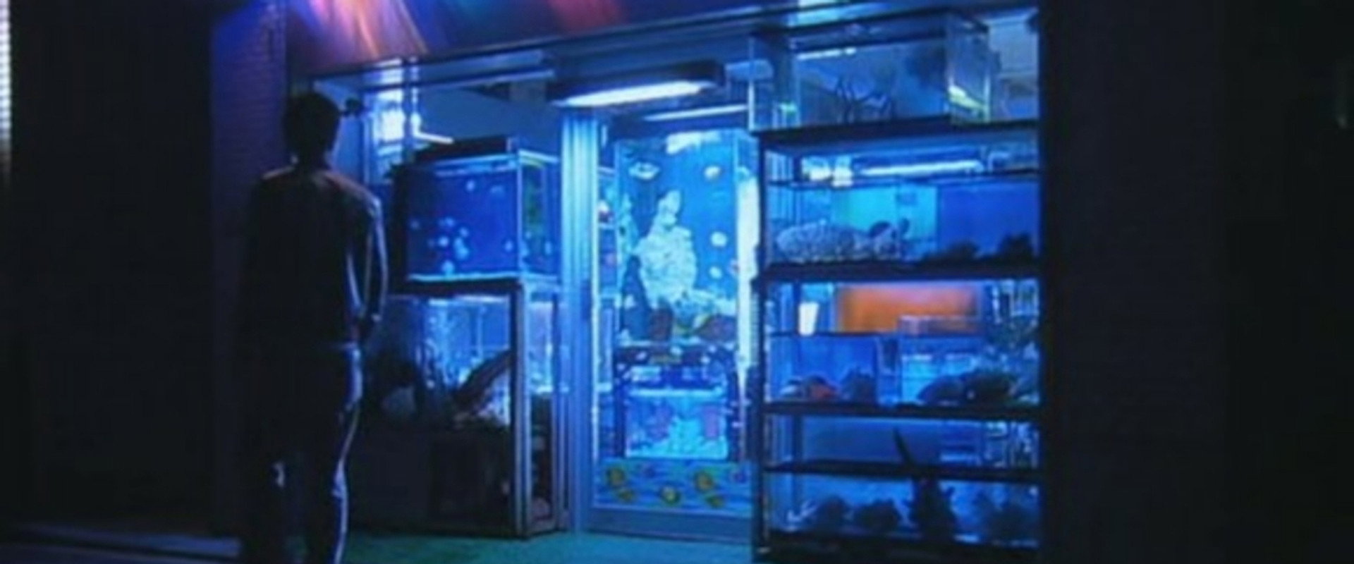 Kakuto backdrop