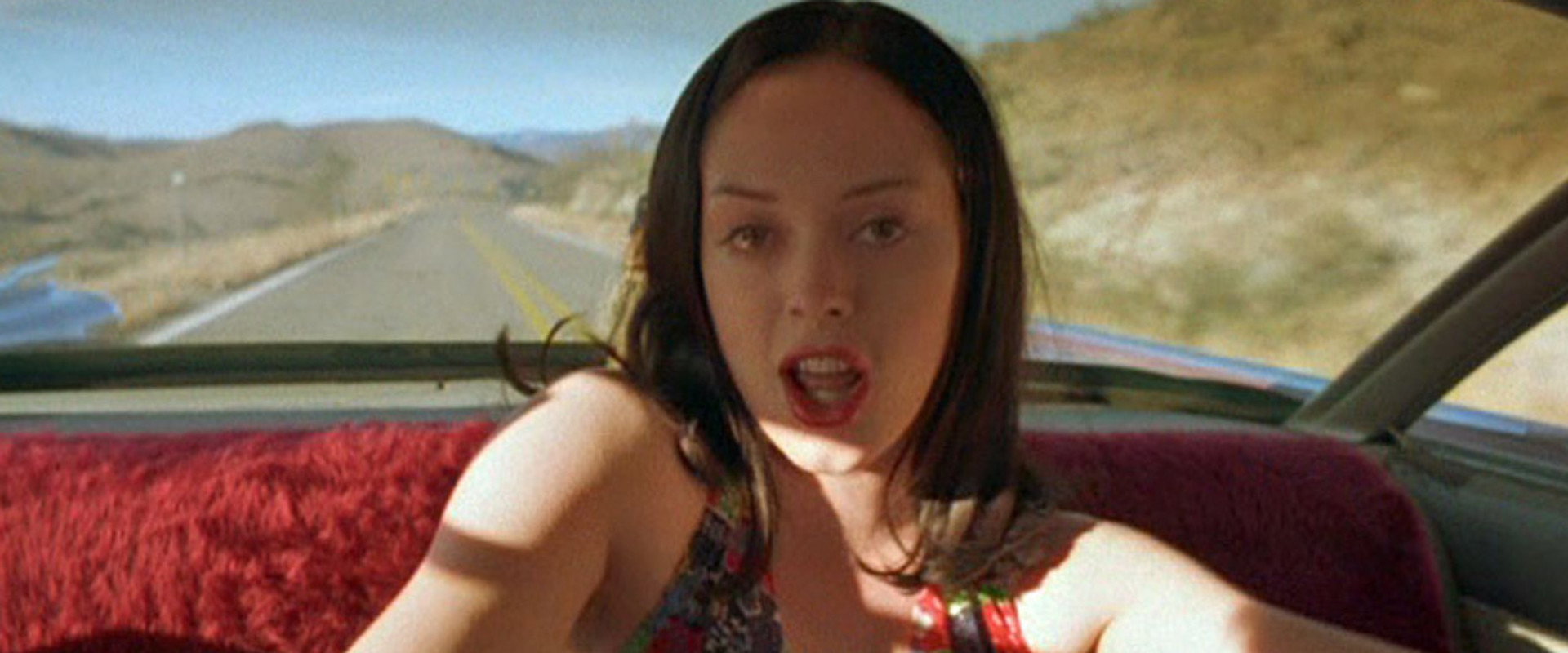 Lewis & Clark & George backdrop