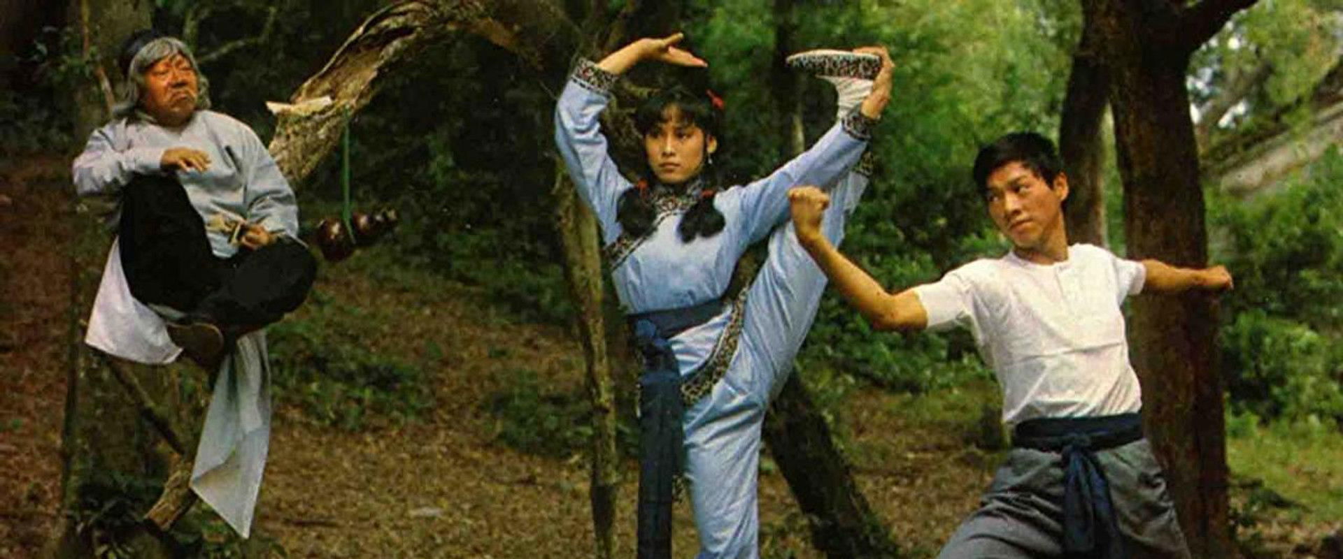 The Story of the Drunken Master backdrop