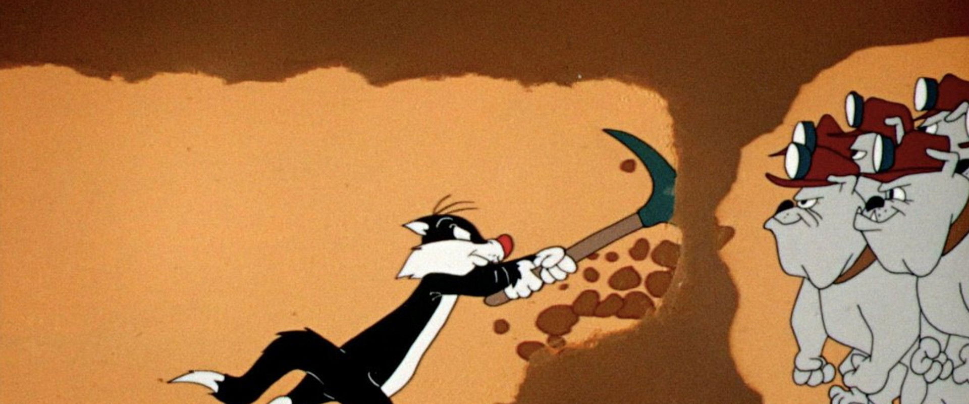 Dog Pounded backdrop