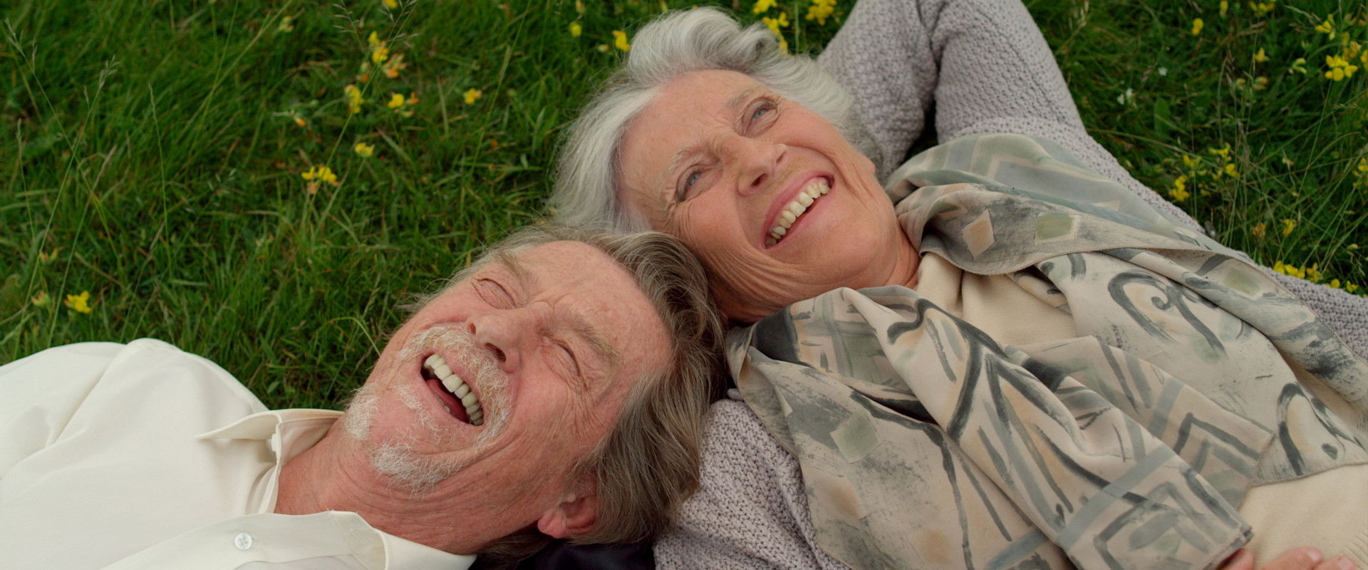 Love at First Sight backdrop