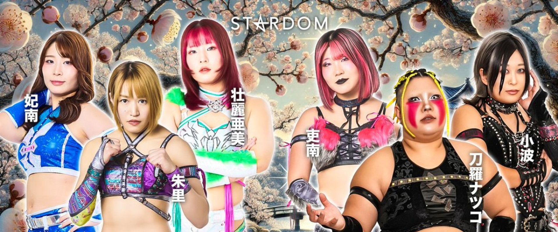 Stardom in Okayama 2026 Feb. backdrop