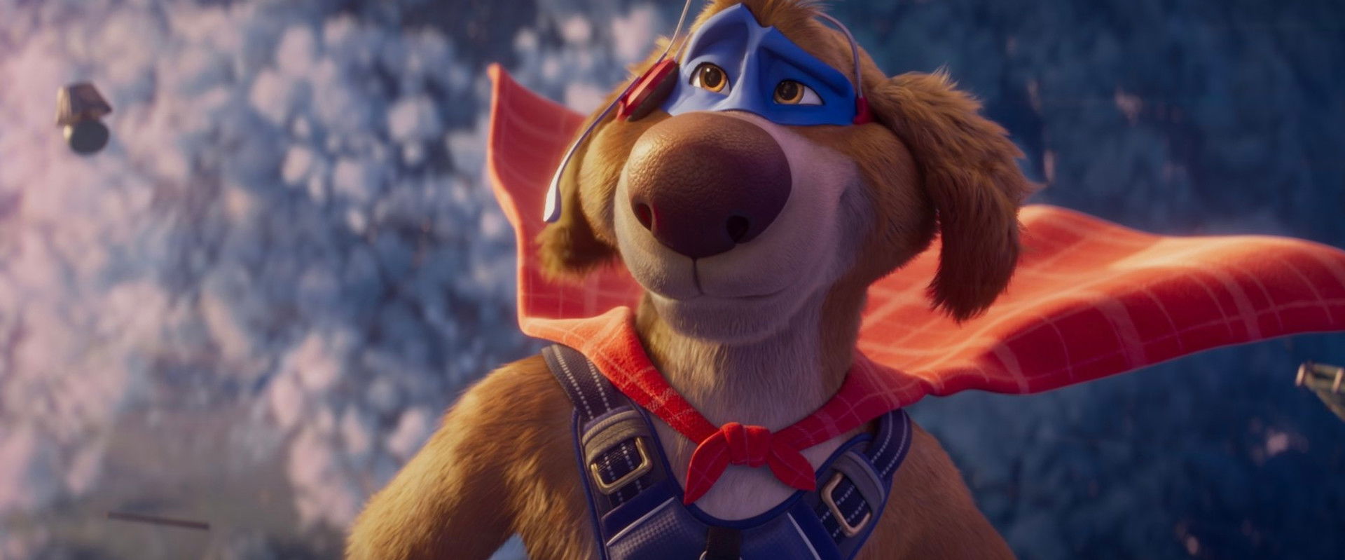 Charlie the Wonderdog backdrop