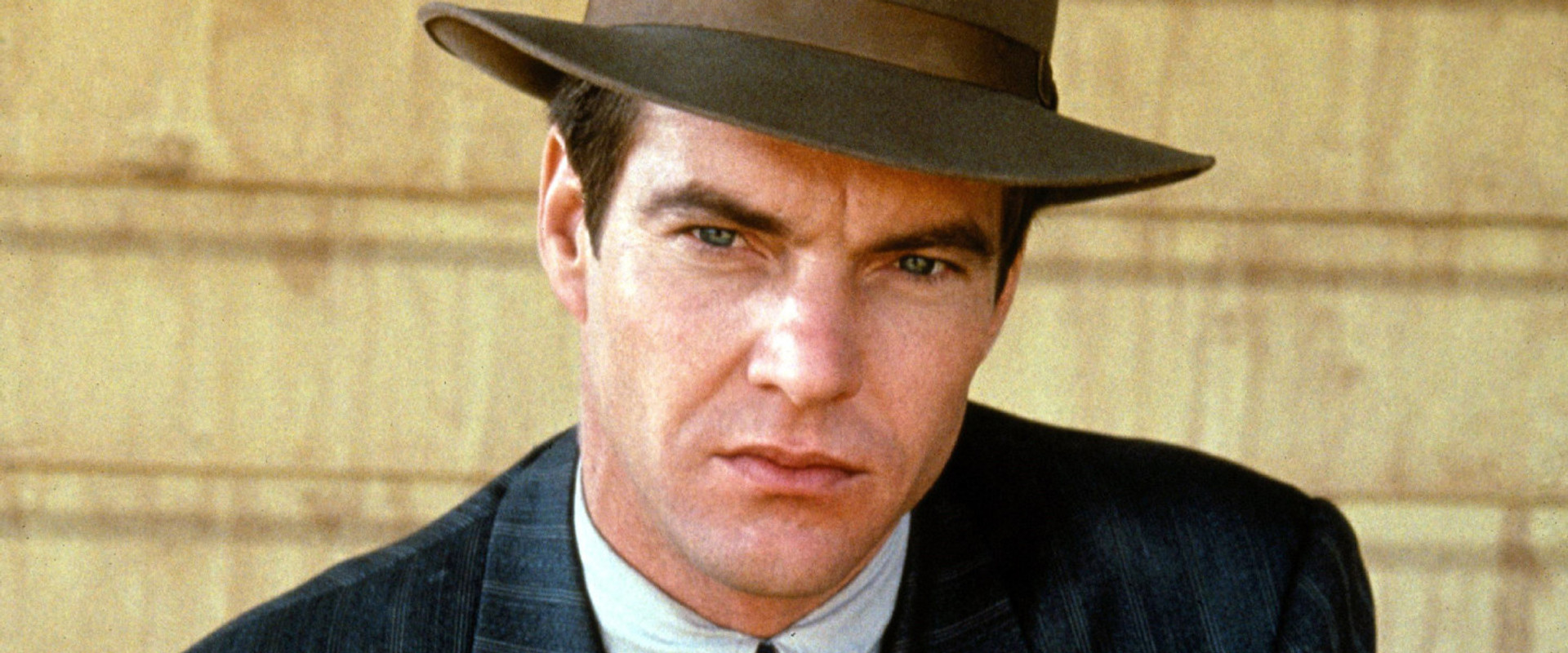 Come See the Paradise backdrop