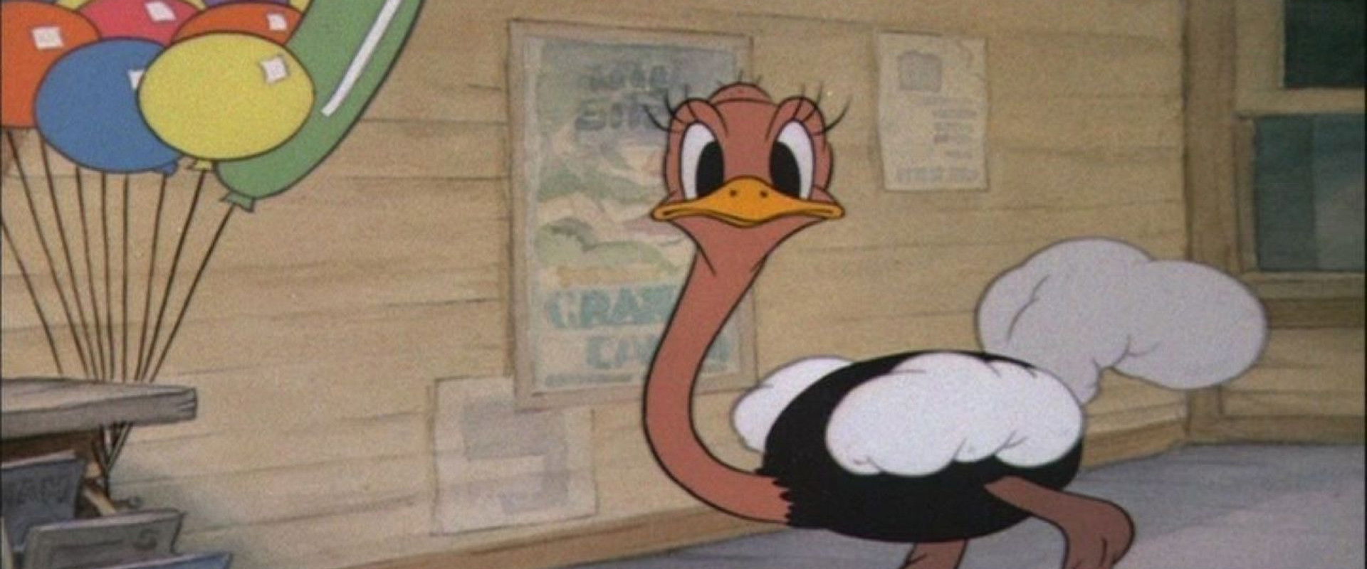 Donald's Ostrich backdrop