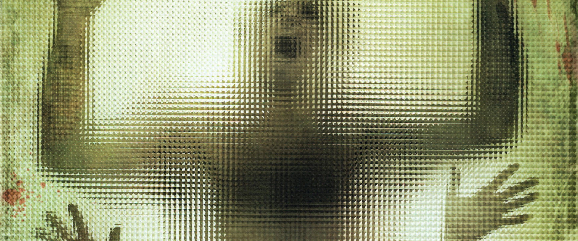 The Human Centipede (First Sequence) backdrop