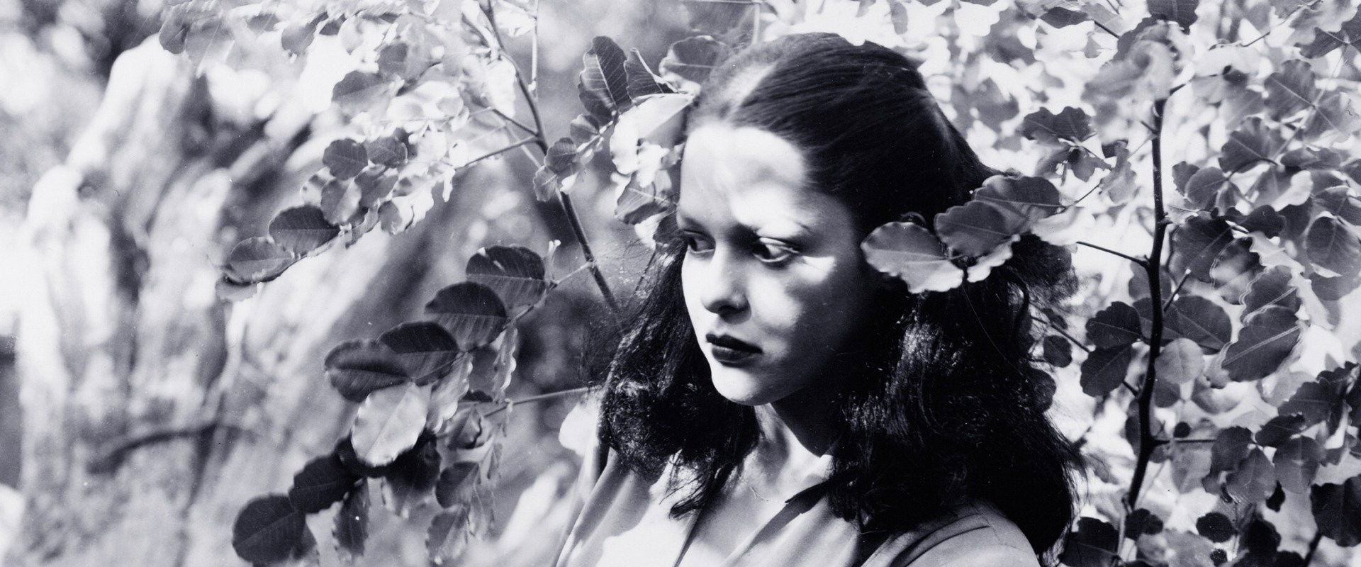 Jungle Woman backdrop