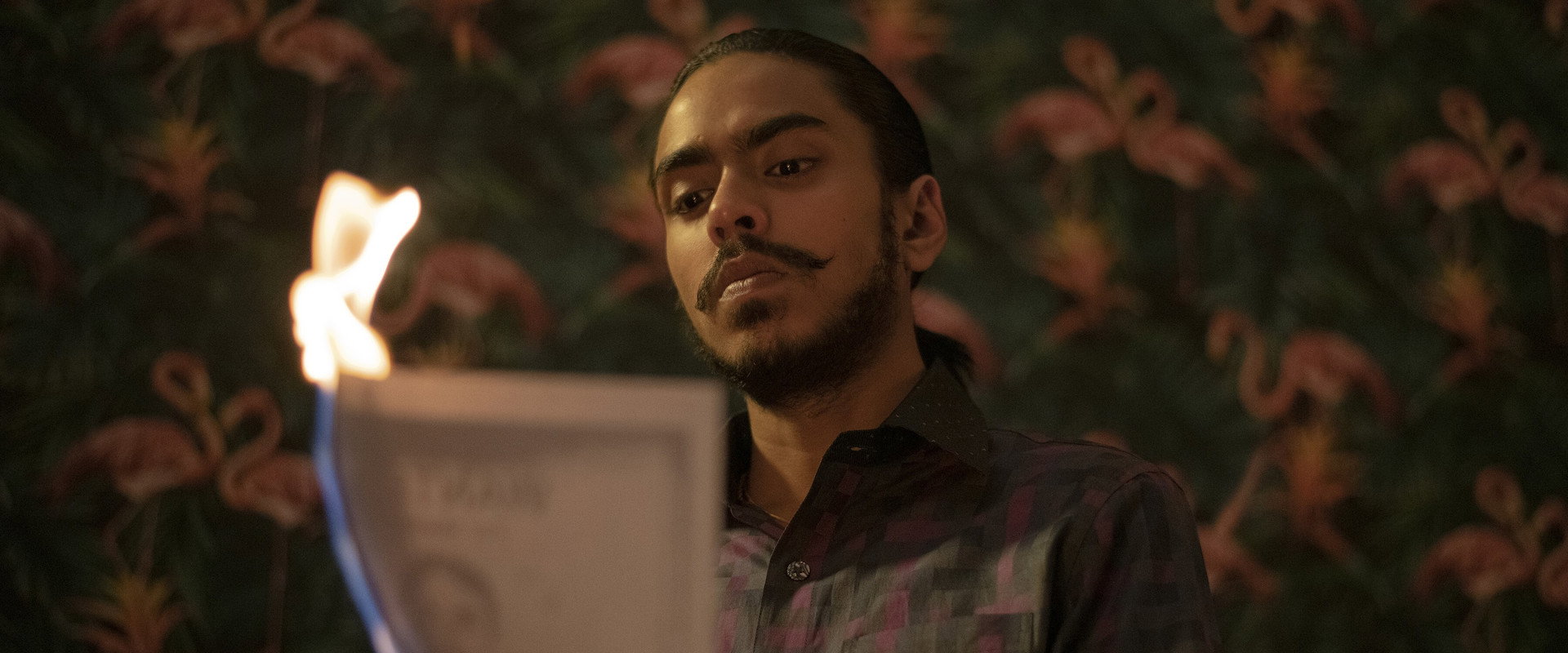 The White Tiger backdrop