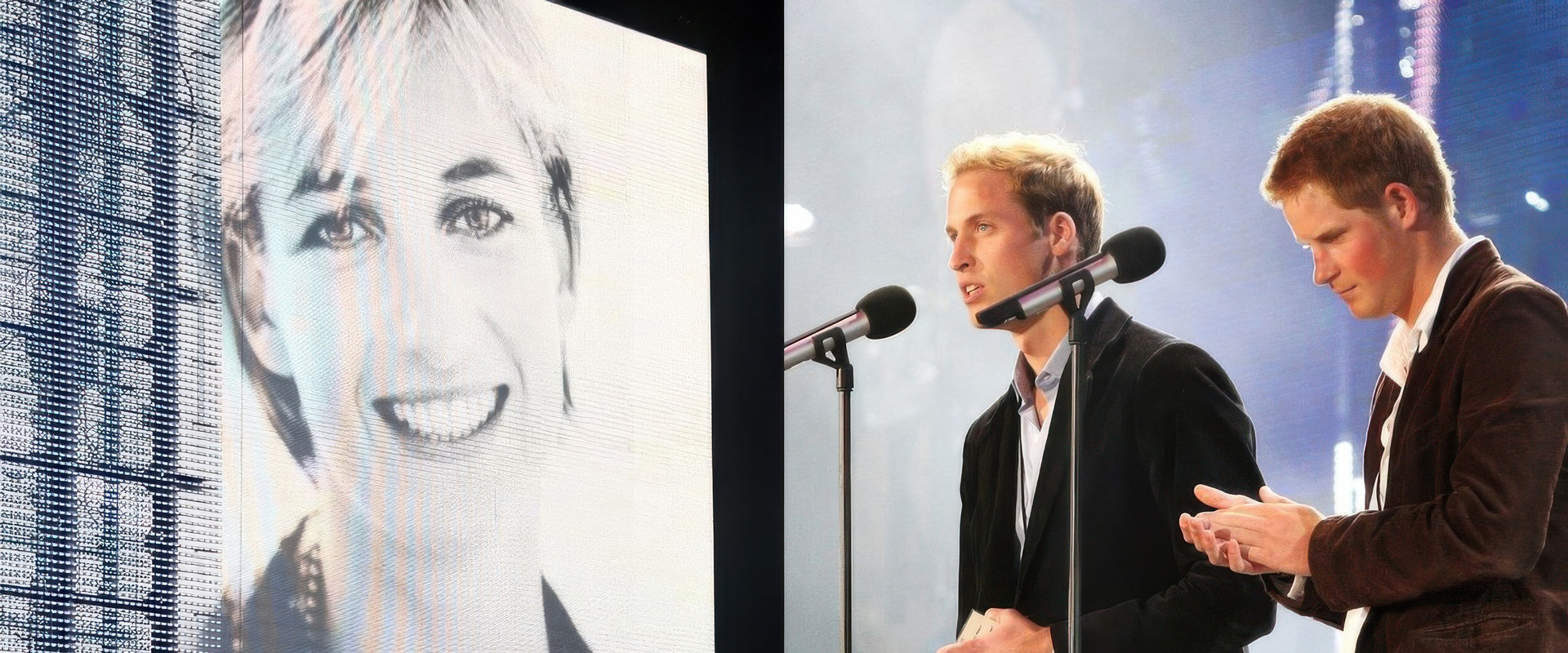 Concert for Diana backdrop