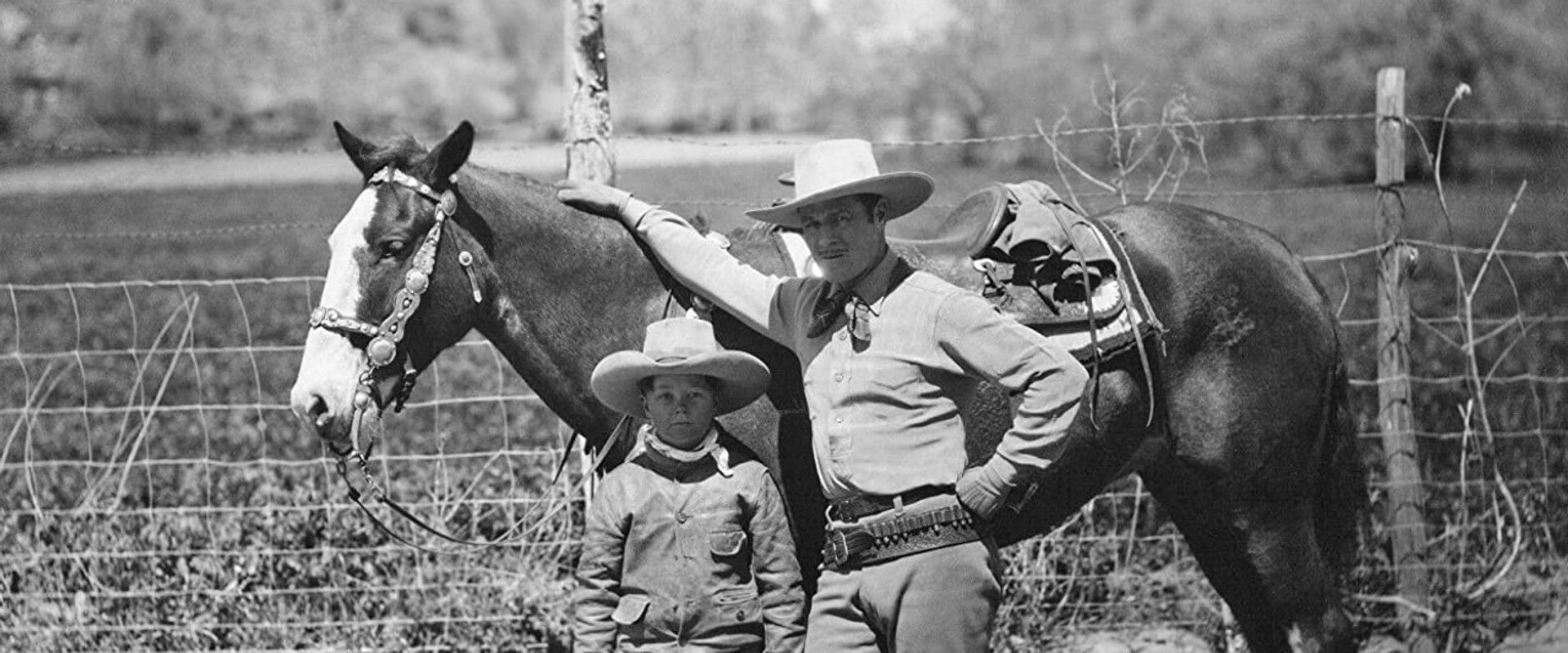 The Vanishing Pioneer backdrop