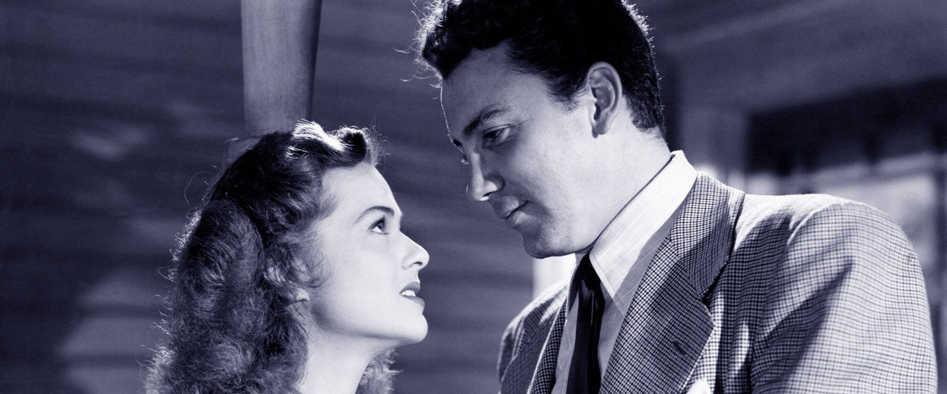 Leather Gloves backdrop