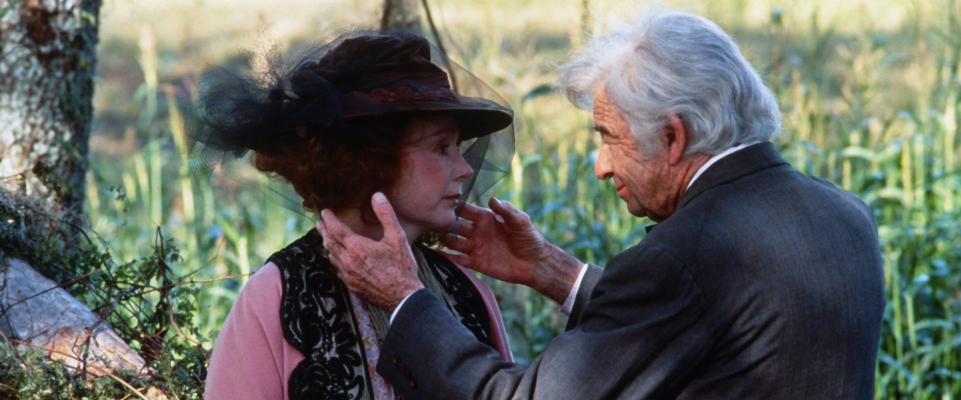 The Grass Harp backdrop