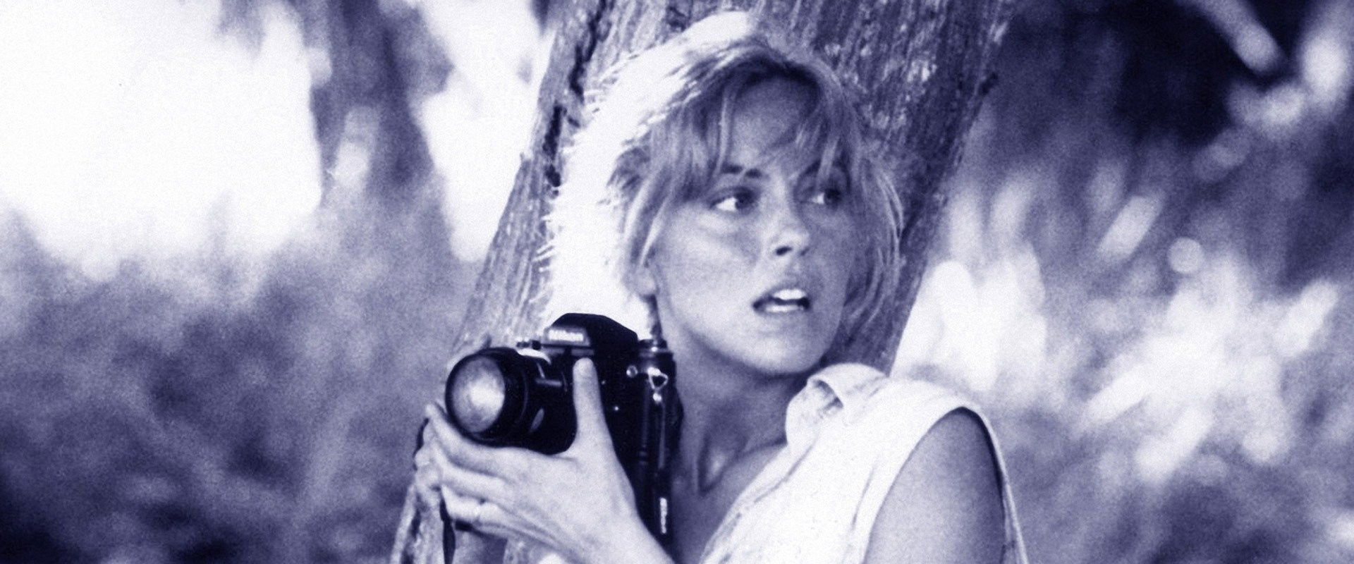 Turtle Beach backdrop