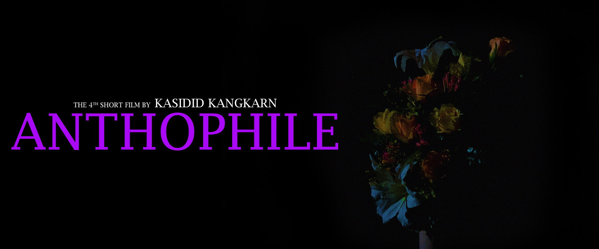 Anthophile backdrop