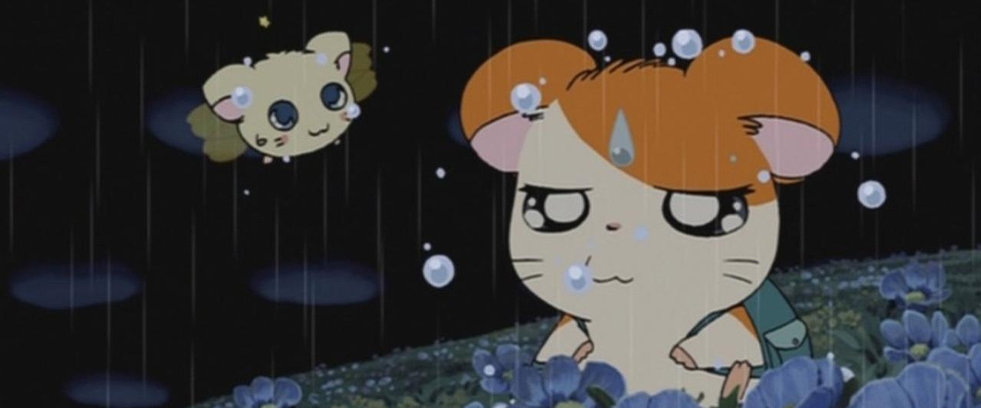 Hamtaro: Adventures in Ham-Ham Land backdrop