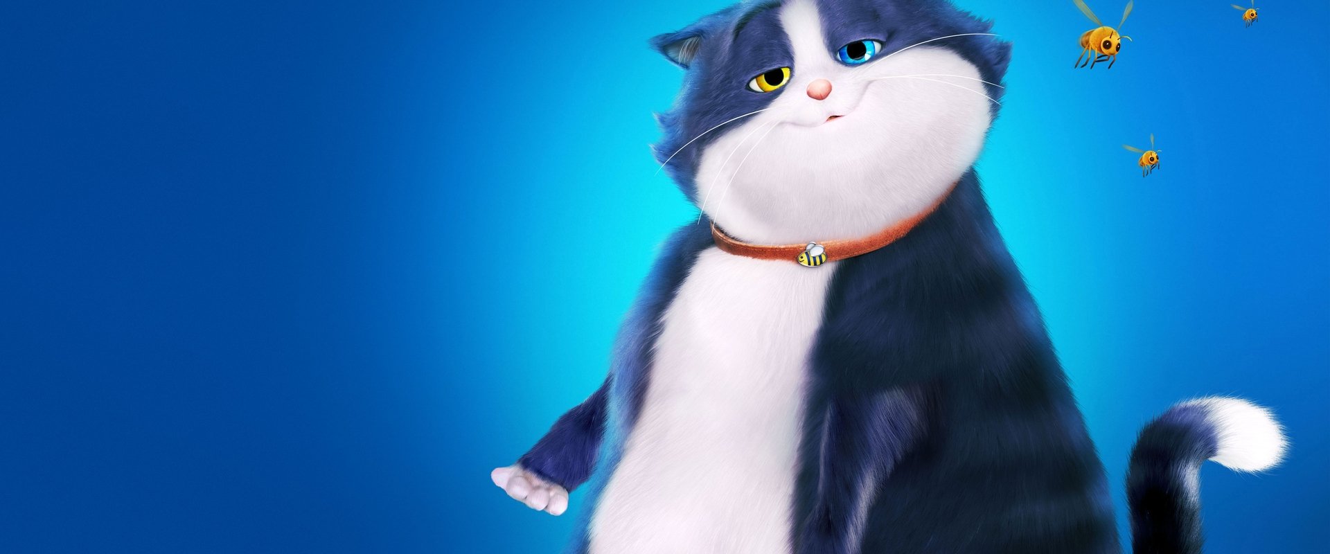 10 Lives backdrop