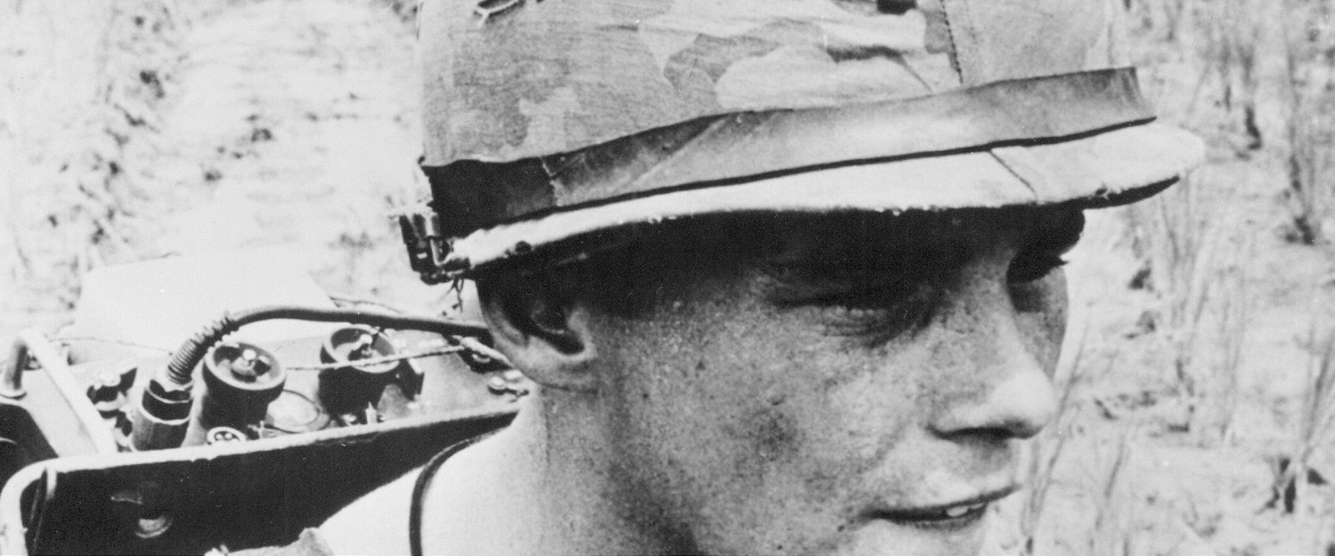 In the Year of the Pig backdrop