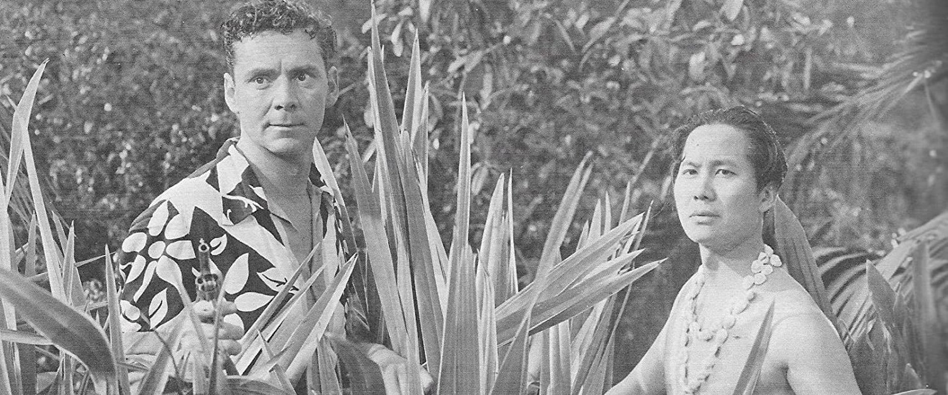 Lost City of the Jungle backdrop