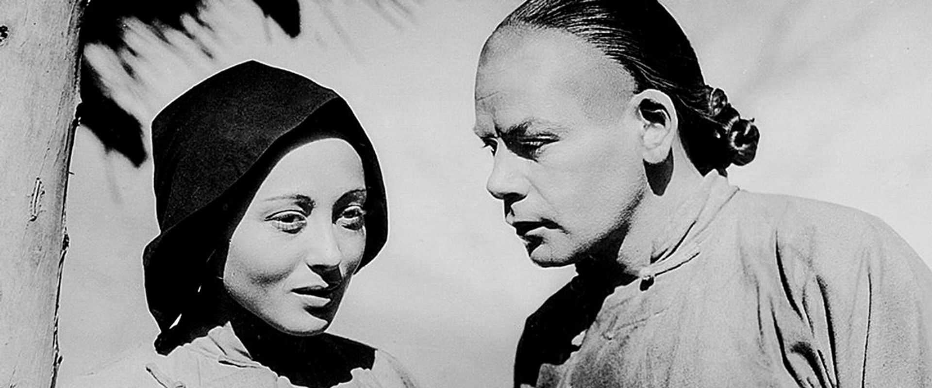 The Good Earth backdrop